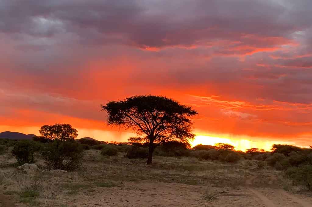 Kalahari Sundowner