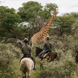 17 TAGE REITEN UND SAFARI IN NAMIBIA