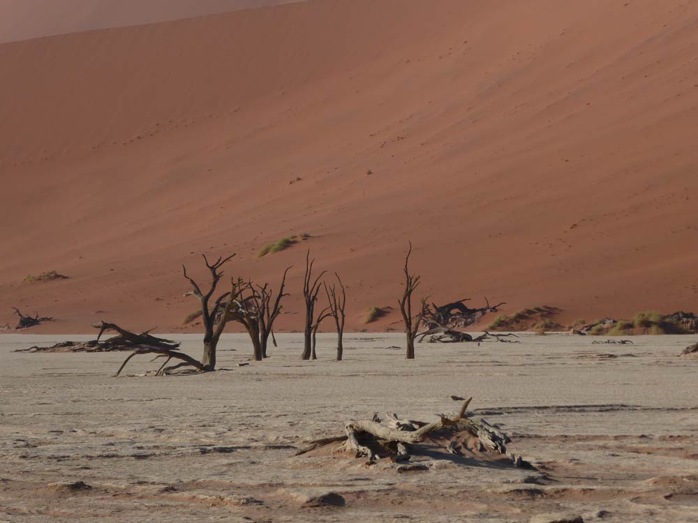 Dead Vlei Sossusvlei Namibia