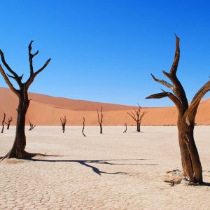 NAMIBIAS HIGHLIGHTS 14 TAGE SELBSTFAHRER TOUR